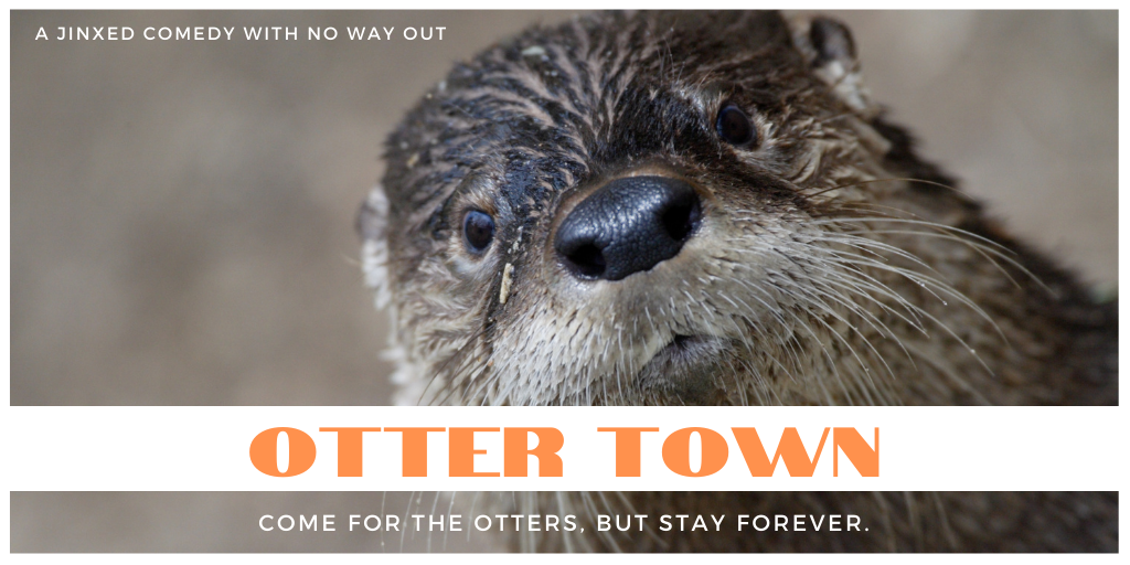 OTTER TOWN – The jinxed journey of my pilot